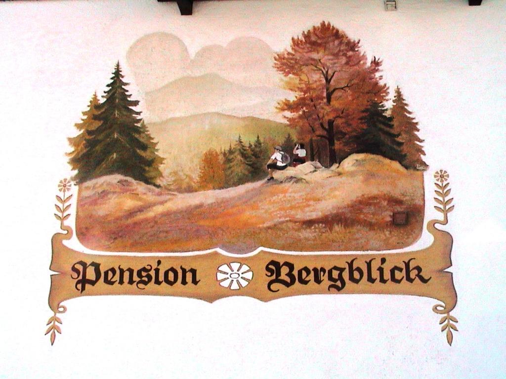 Pension Bergblick Bayerisch Eisenstein Eksteriør bilde